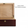 Triest Humidor Adorini