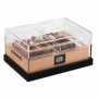 Humidor Plexiglas Felix - 60 Zigarren