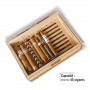 Humidor Plexiglas Felix 45 Zigarren