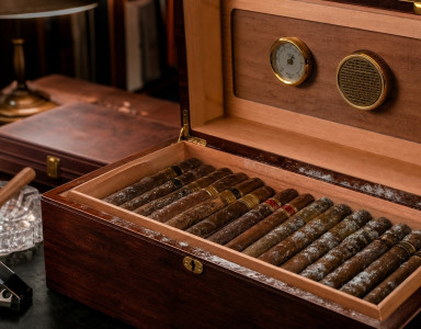Wie kann man Schimmel in einem Humidor vermeiden?